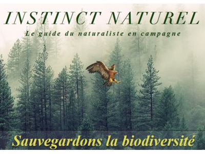 Site Instinct Naturel